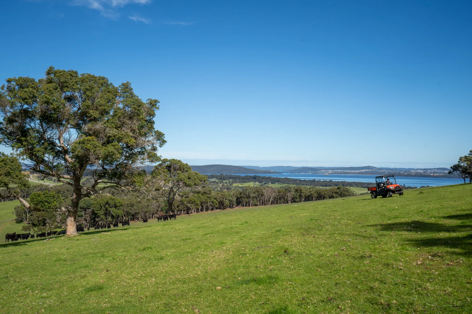 Additional image 4 of 461 Nanarup Road, Kalgan WA 6330