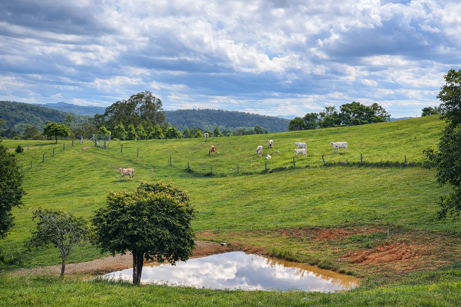 205 Allen Road, Chatsworth QLD 4570