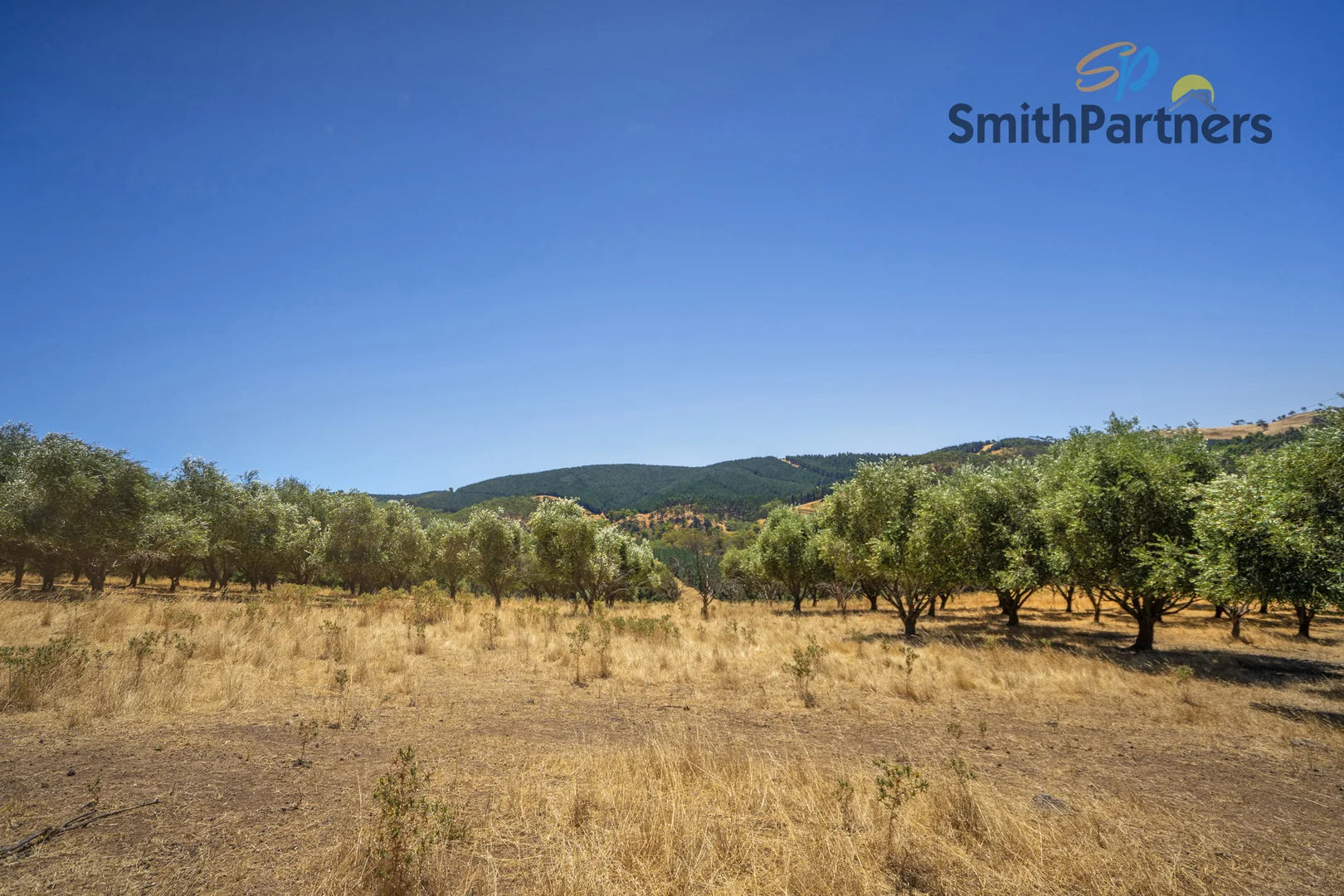 Additional image 32 of 162 Torrens Valley Road, Gumeracha SA 5233