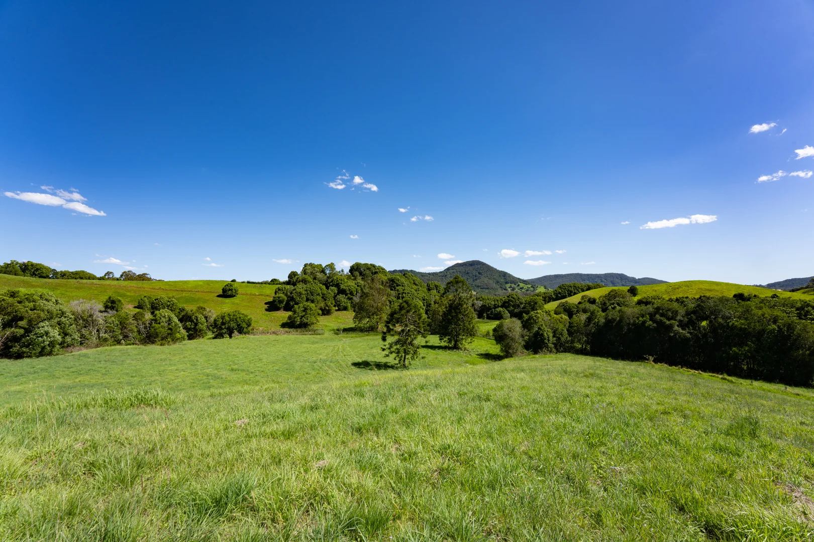 Additional image 21 of 165 Larneys Lane, Eerwah Vale QLD 4562