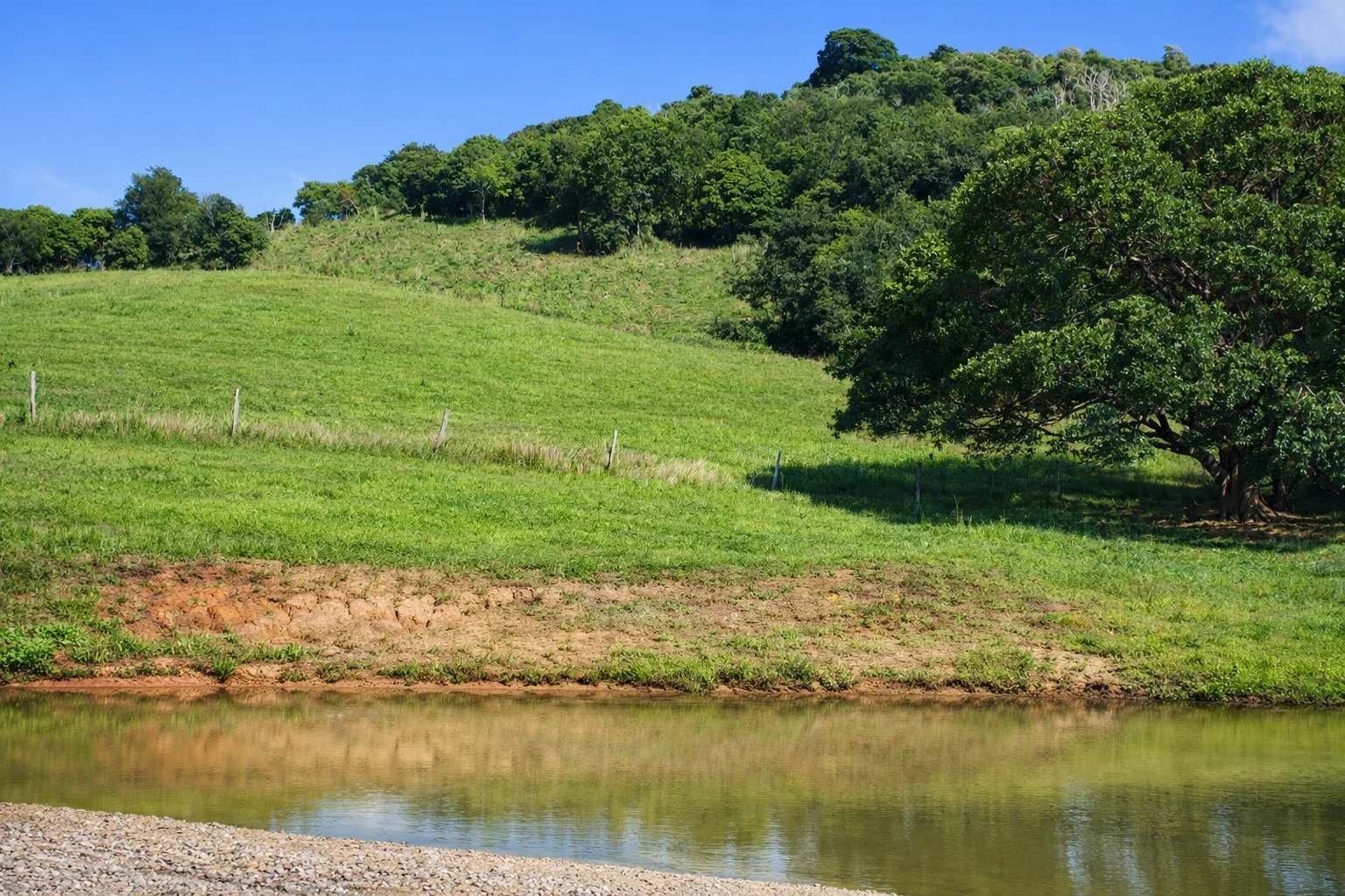 Additional image 2 of 205 Allen Road, Chatsworth QLD 4570