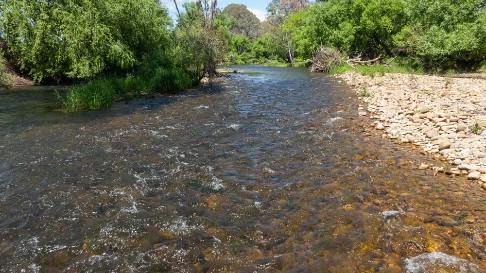 Additional image 23 of 1279 Edi-Cheshunt Road, Whitfield VIC 3733