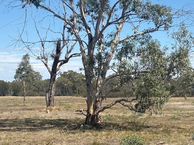 Additional image 6 of 1024 MAYFIELD RD, Braidwood NSW 2622