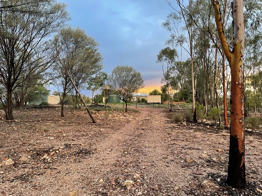 Additional image 27 of 1684 Diamantina Developmental Road, Charleville QLD 4470