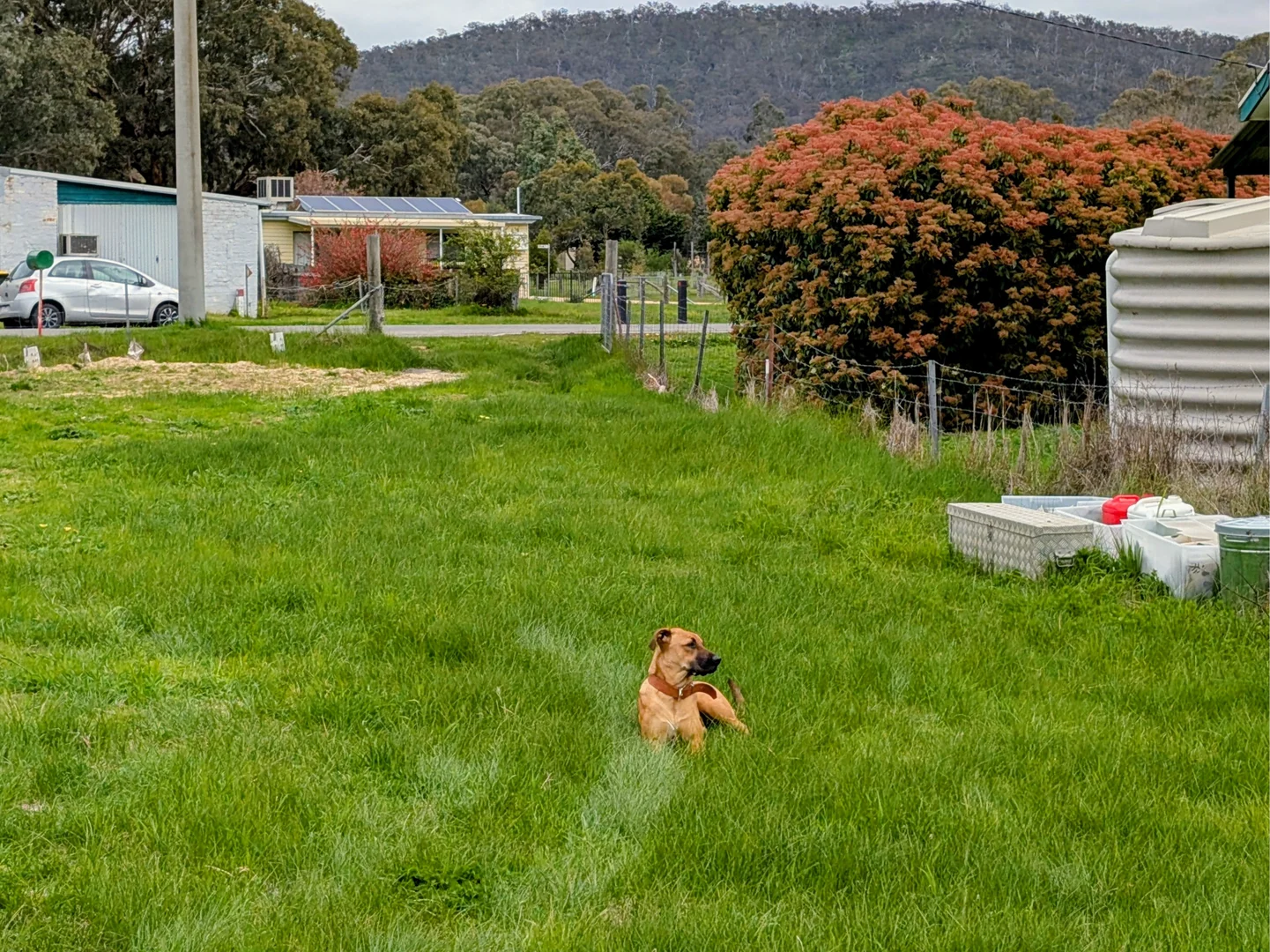 Additional image 4 of 60 Navarre Street, Redbank VIC 3477