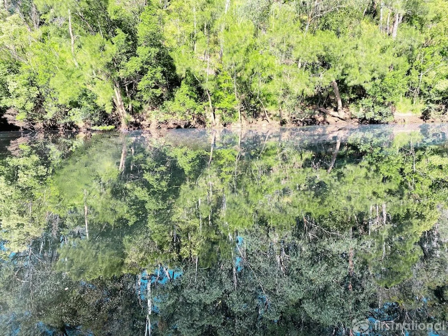 Additional image 20 of Lot 10/- The River Road, Mogood NSW 2538