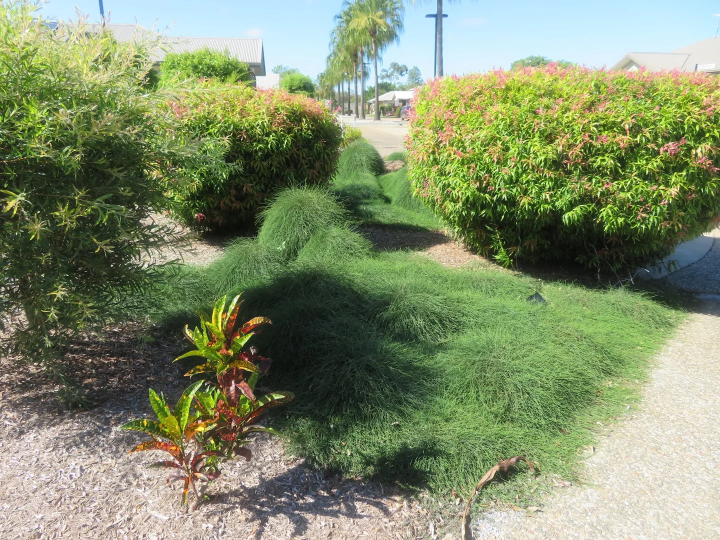 Additional image 29 of 73b/36 Anzac Avenue, Mareeba QLD 4880