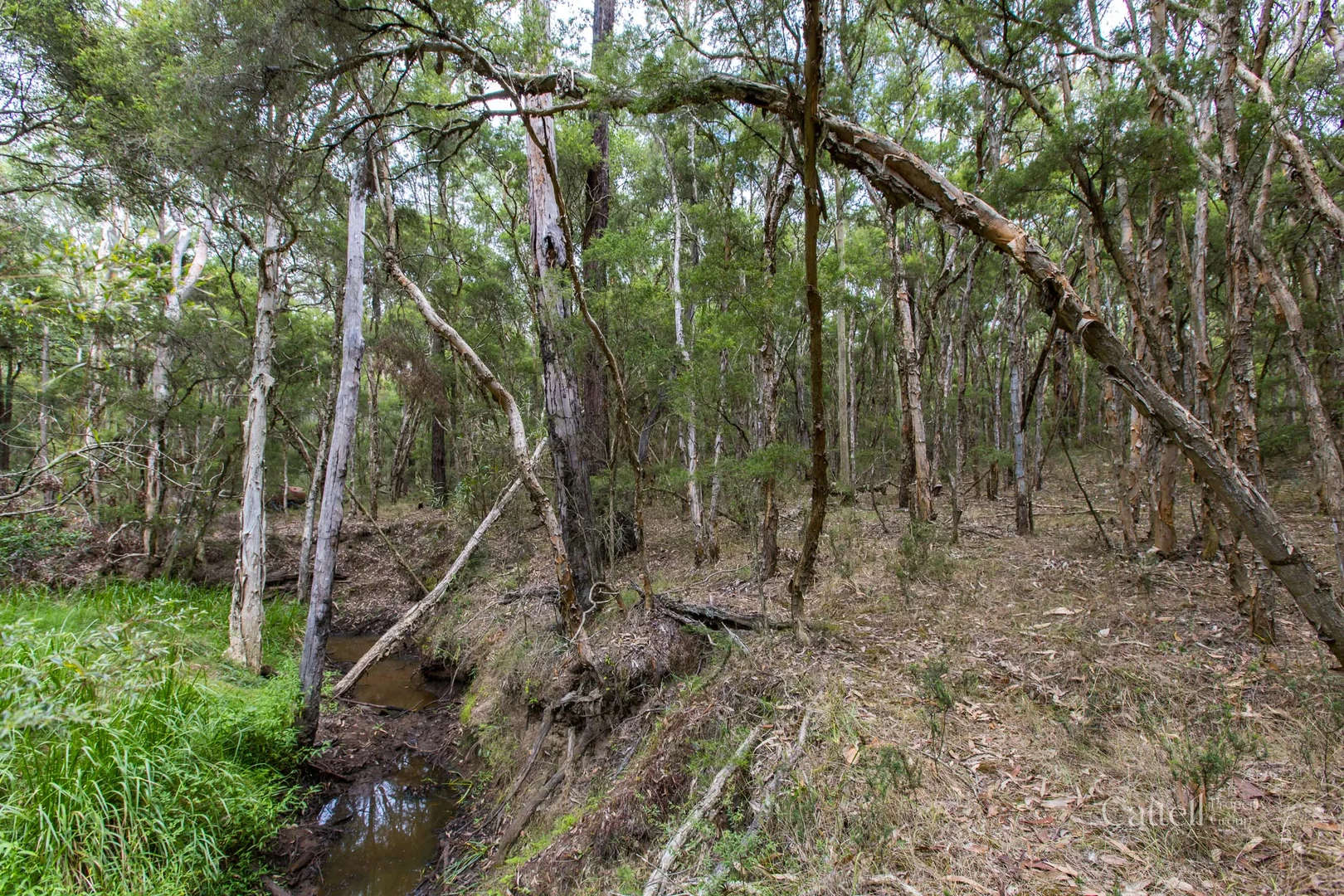 Additional image 9 of Lot 41 Bakers Lane, Sawyers Gully NSW 2326