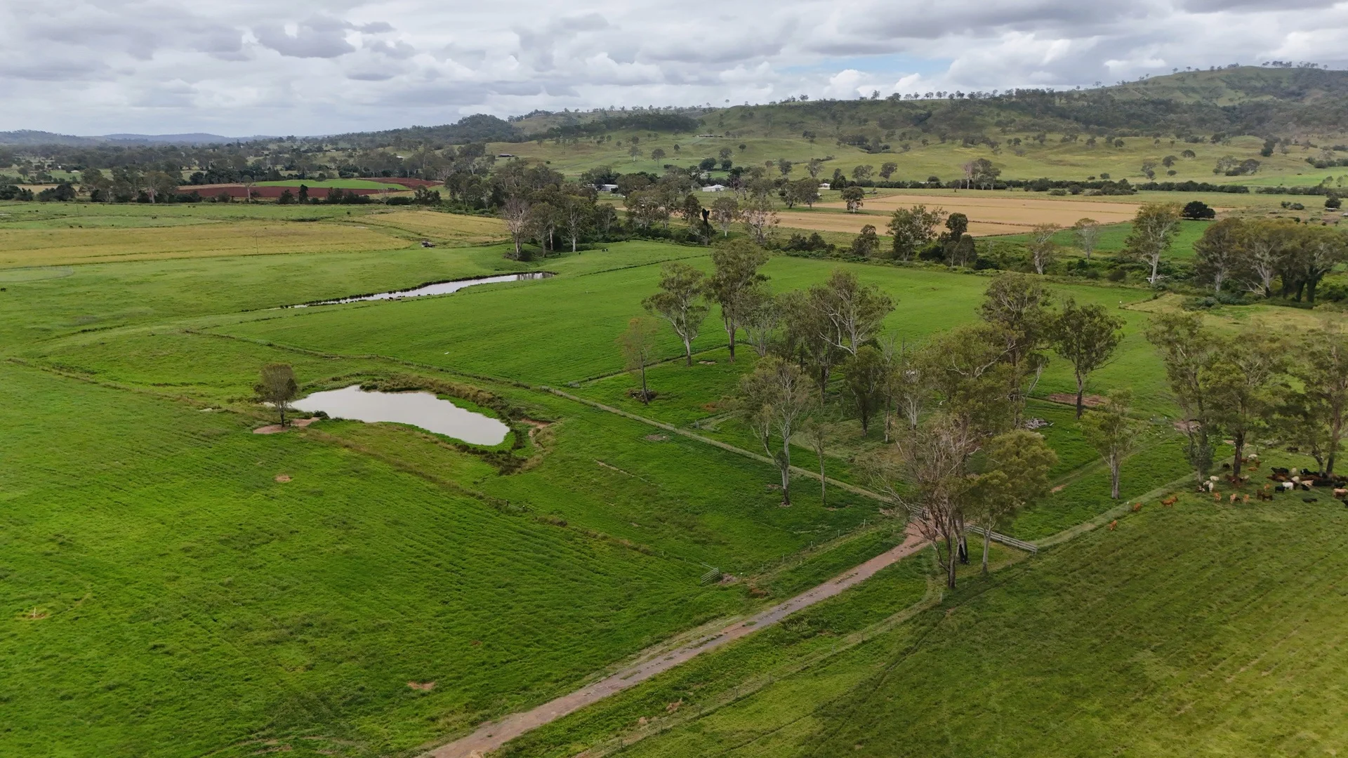 Additional image 10 of 288 Round Mountain Road, Laravale QLD 4285