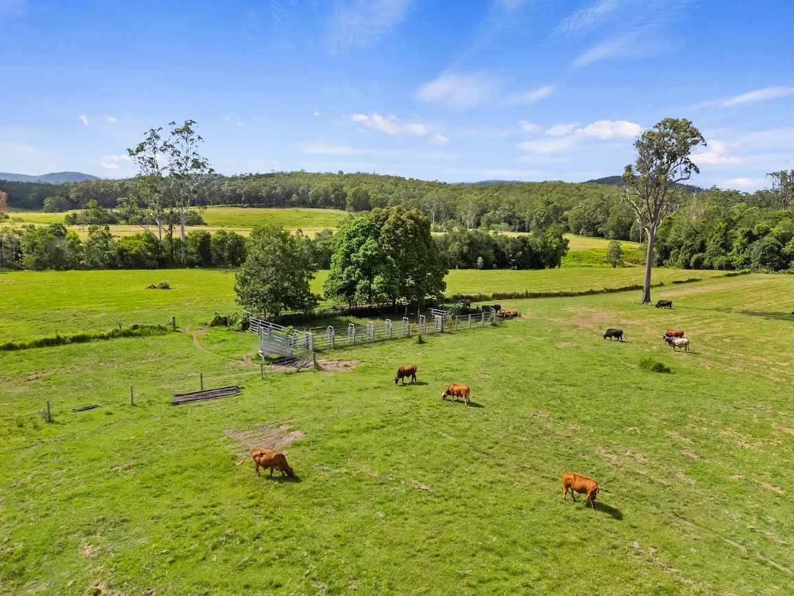 Additional image 13 of Lot 4 Newspaper Hill Road, Belli Park QLD 4562