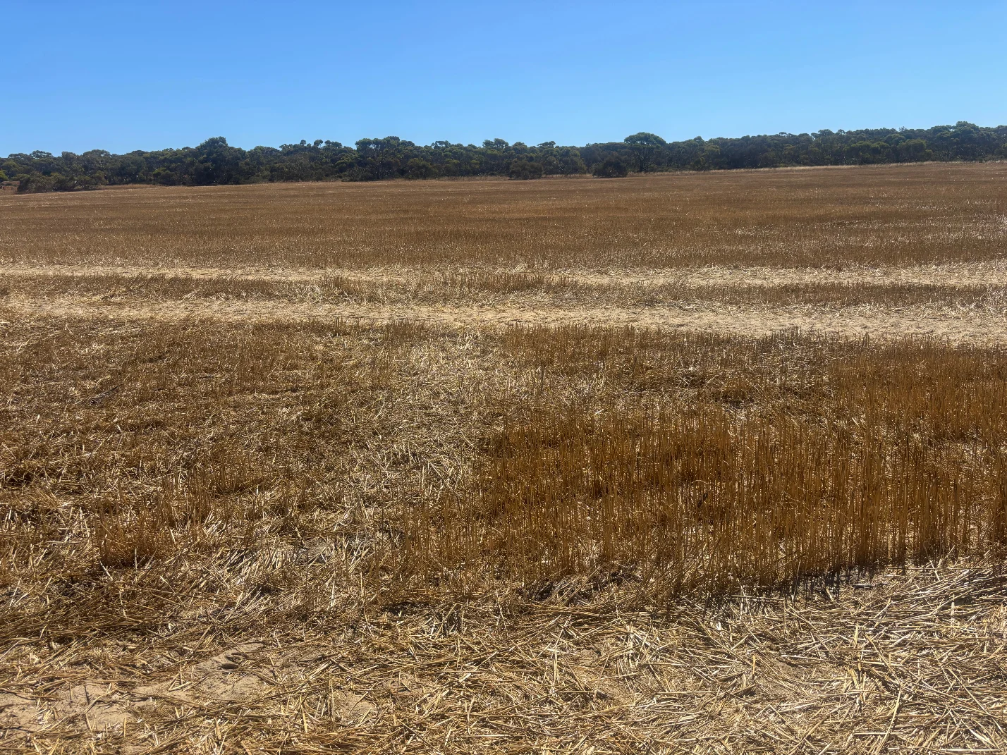 Additional image 16 of 6062 Coorow-Greenhead Road, Warradarge WA 6518