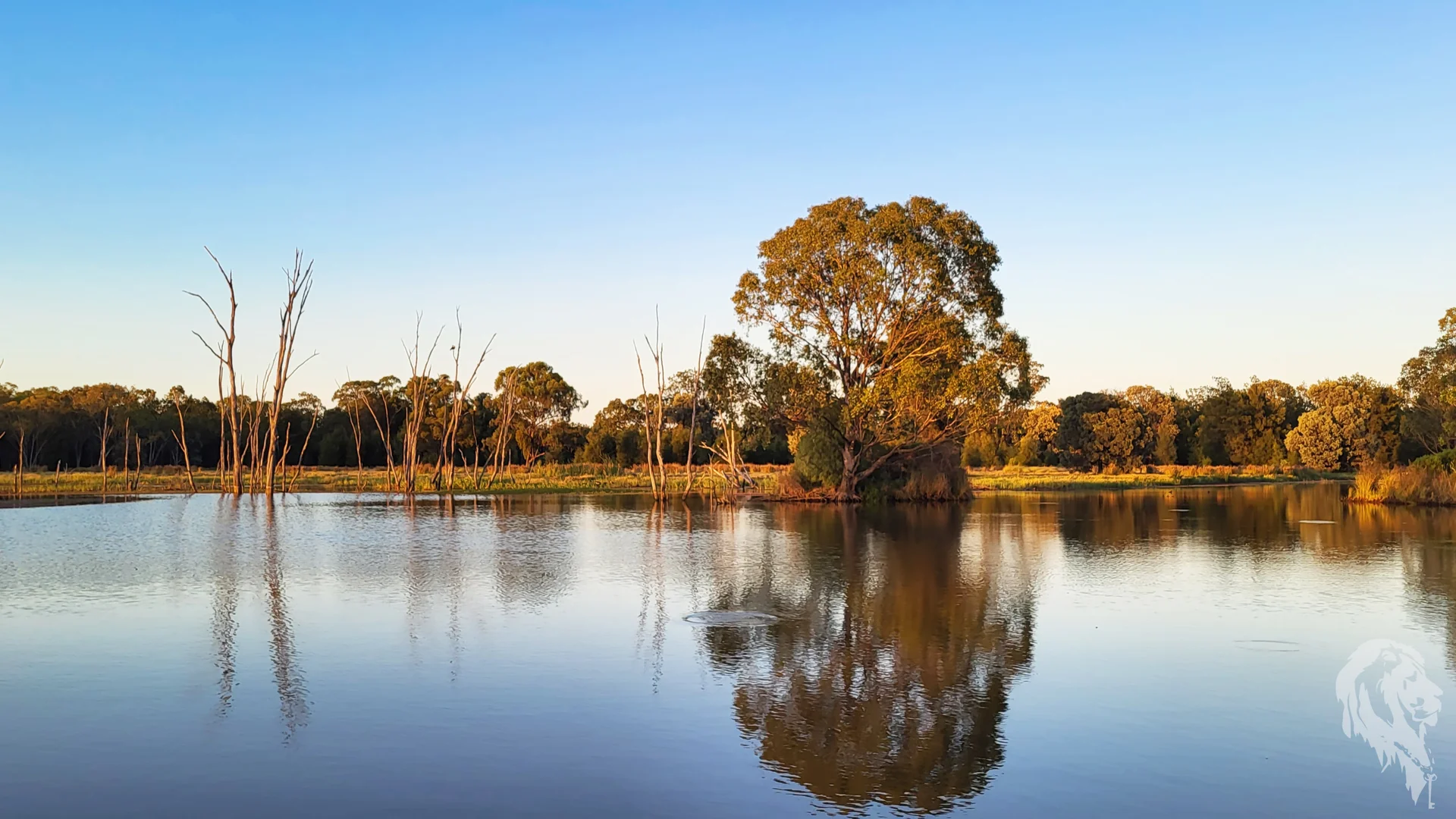 Additional image 2 of 296 Forest Way, Wee Waa NSW 2388