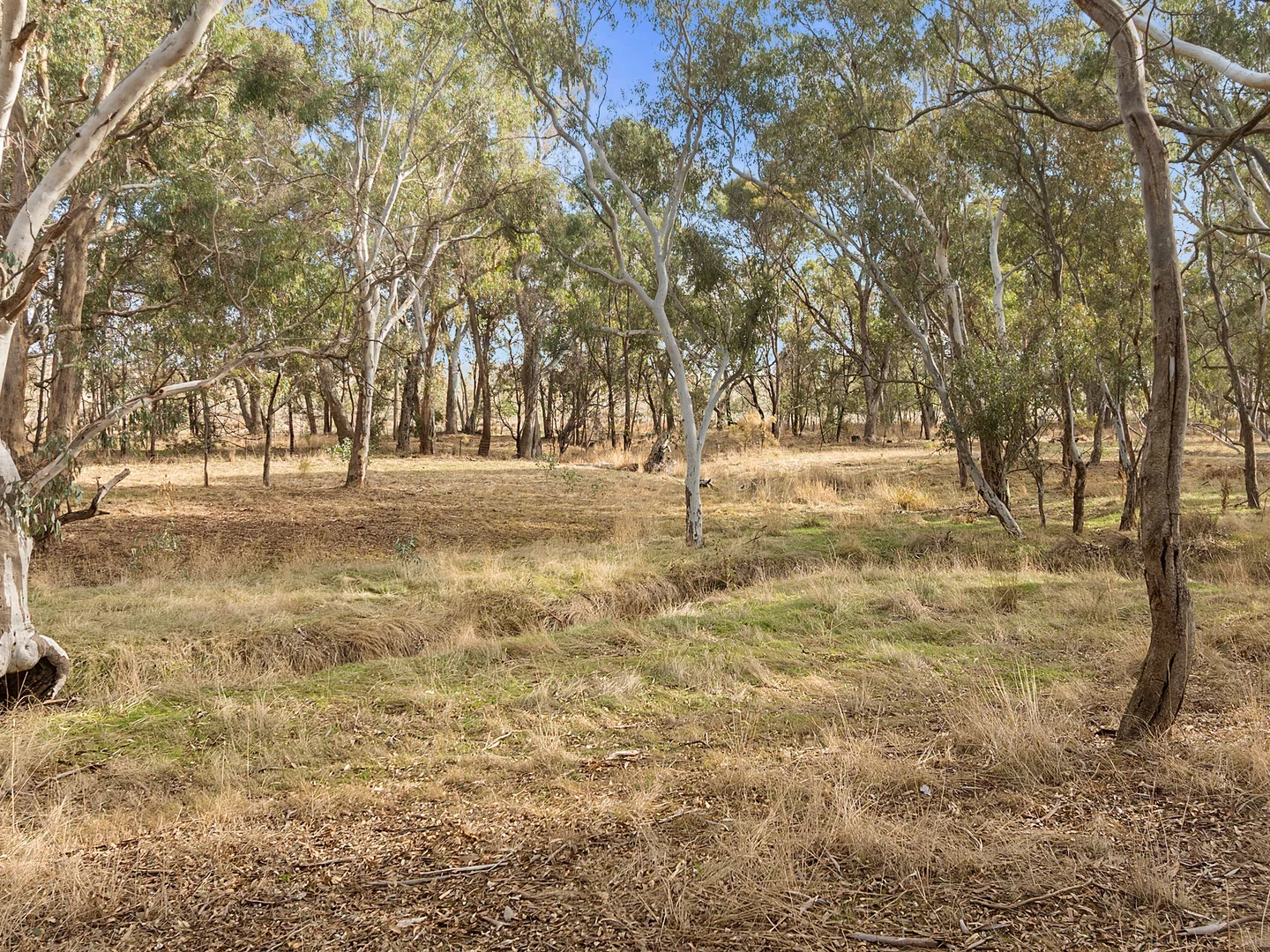 Additional image 7 of Lot 1.1 Bassett Lane, Seymour VIC 3660