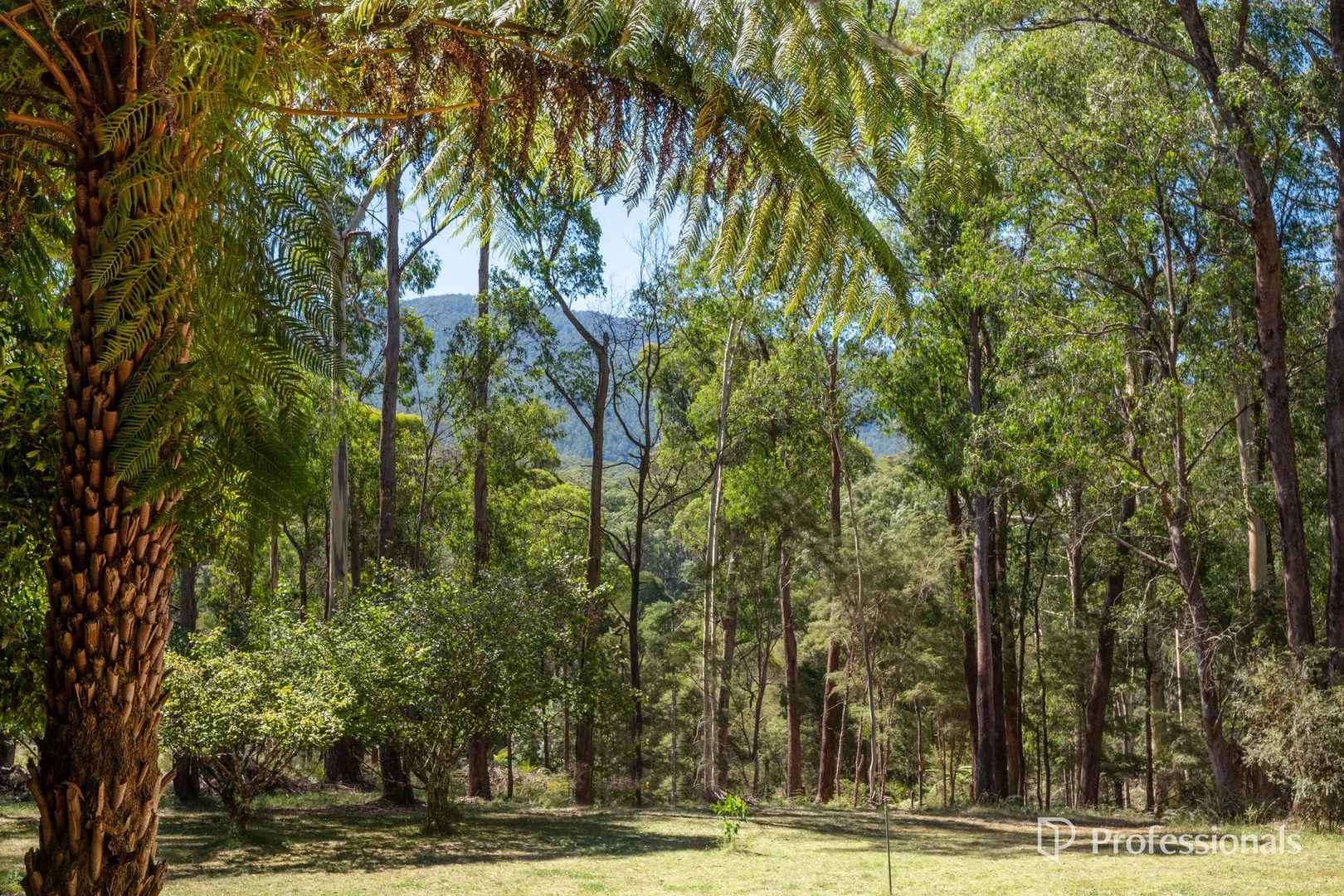 Additional image 25 of 53 Whitegum Drive, East Warburton VIC 3799