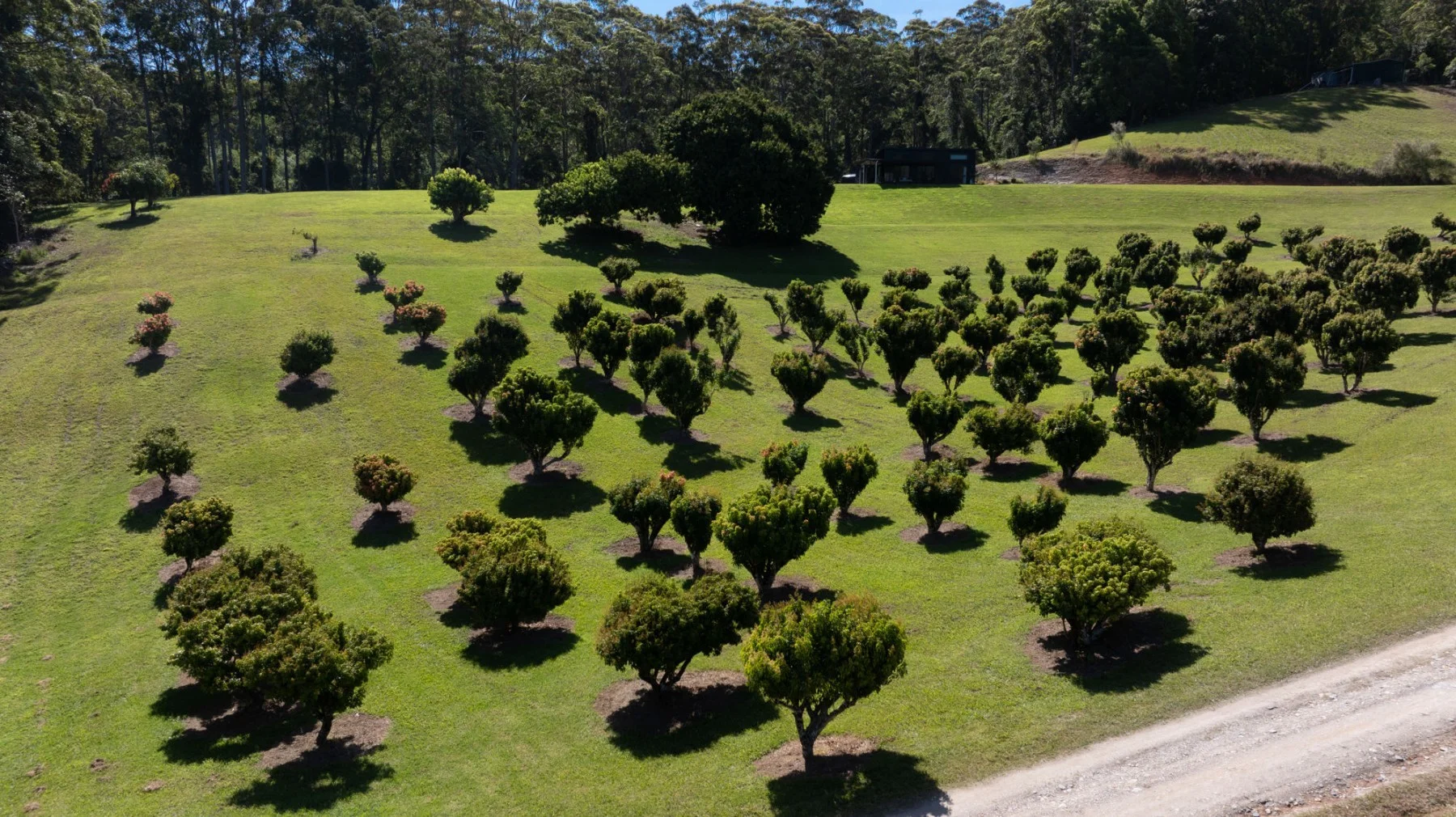 Additional image 3 of 83 Kinki Spur Road, Yarrahapinni NSW 2441