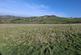 Additional image 14 of Land at Gin Clough, Rainow, Macclesfield