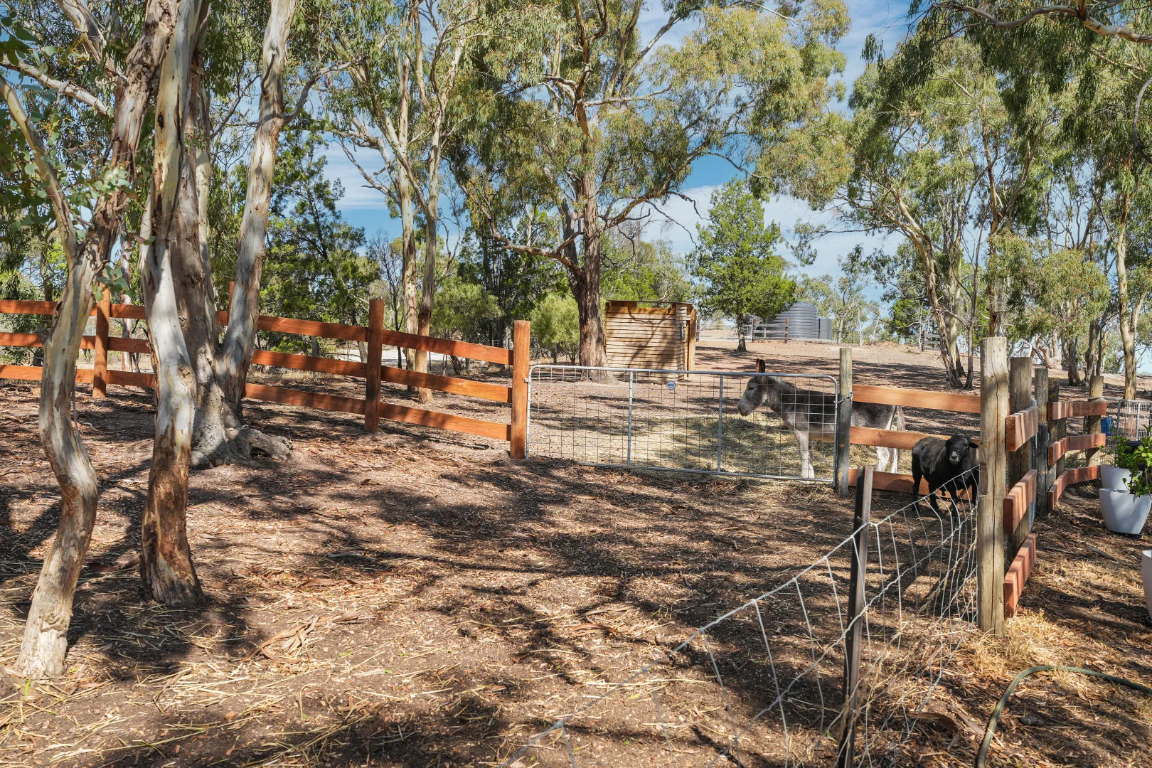 Additional image 28 of 46 Green Gully Road., Cockatoo Valley SA 5351