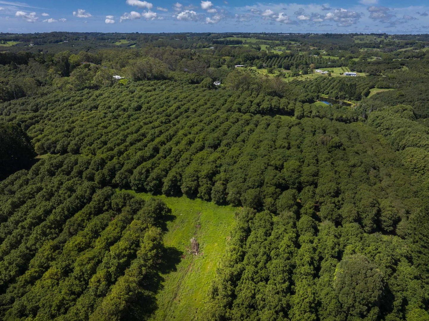 Additional image 5 of McLeans Ridges NSW 2480