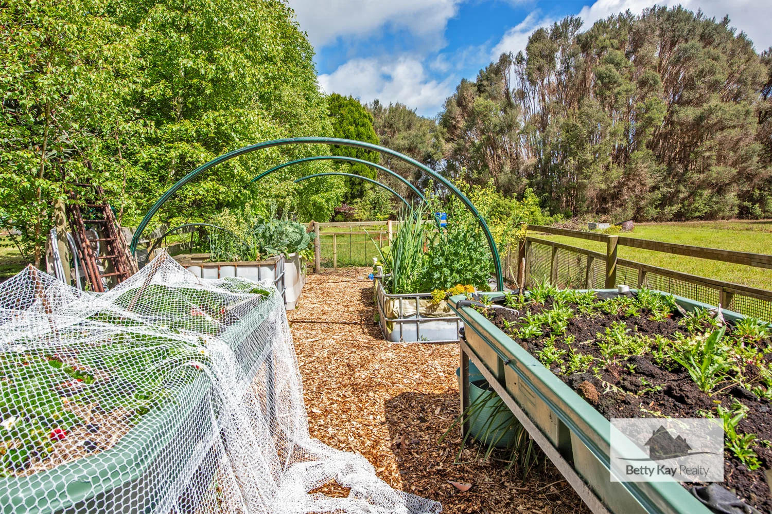 Additional image 22 of 356 montagu road, Smithton TAS 7330