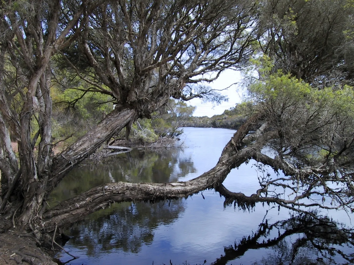 Additional image 22 of 1181 Scott River Road, Scott River WA 6288