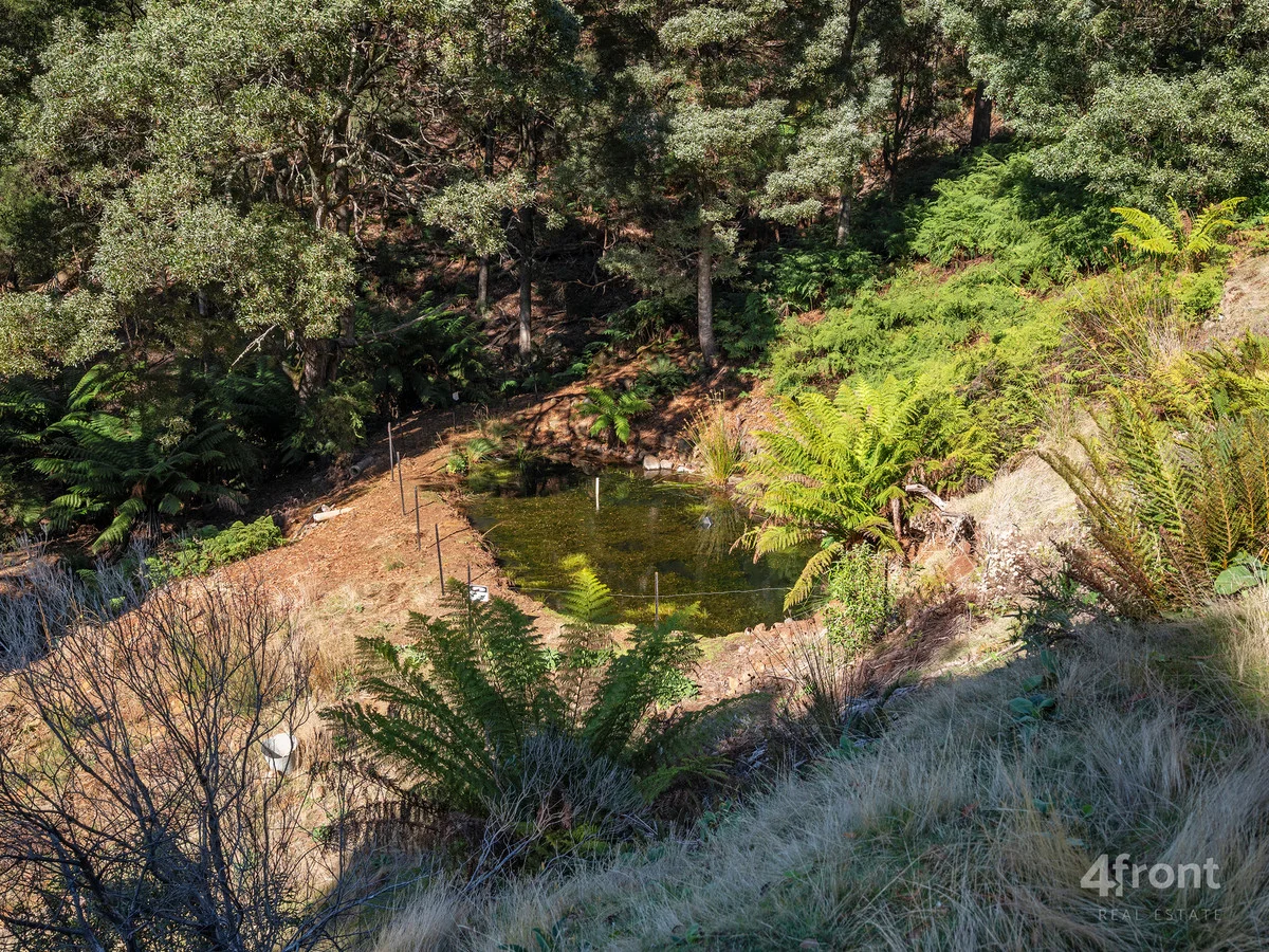 Additional image 26 of 1079 Preston Road, North Motton TAS 7315