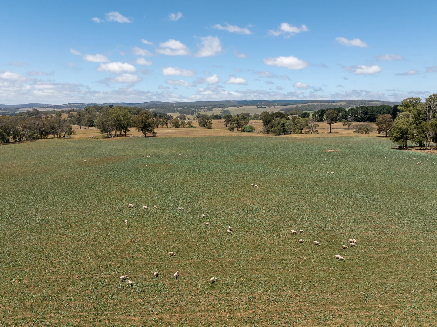 Additional image 30 of 951 Shooters Hill Road, Chatham Valley NSW 2787