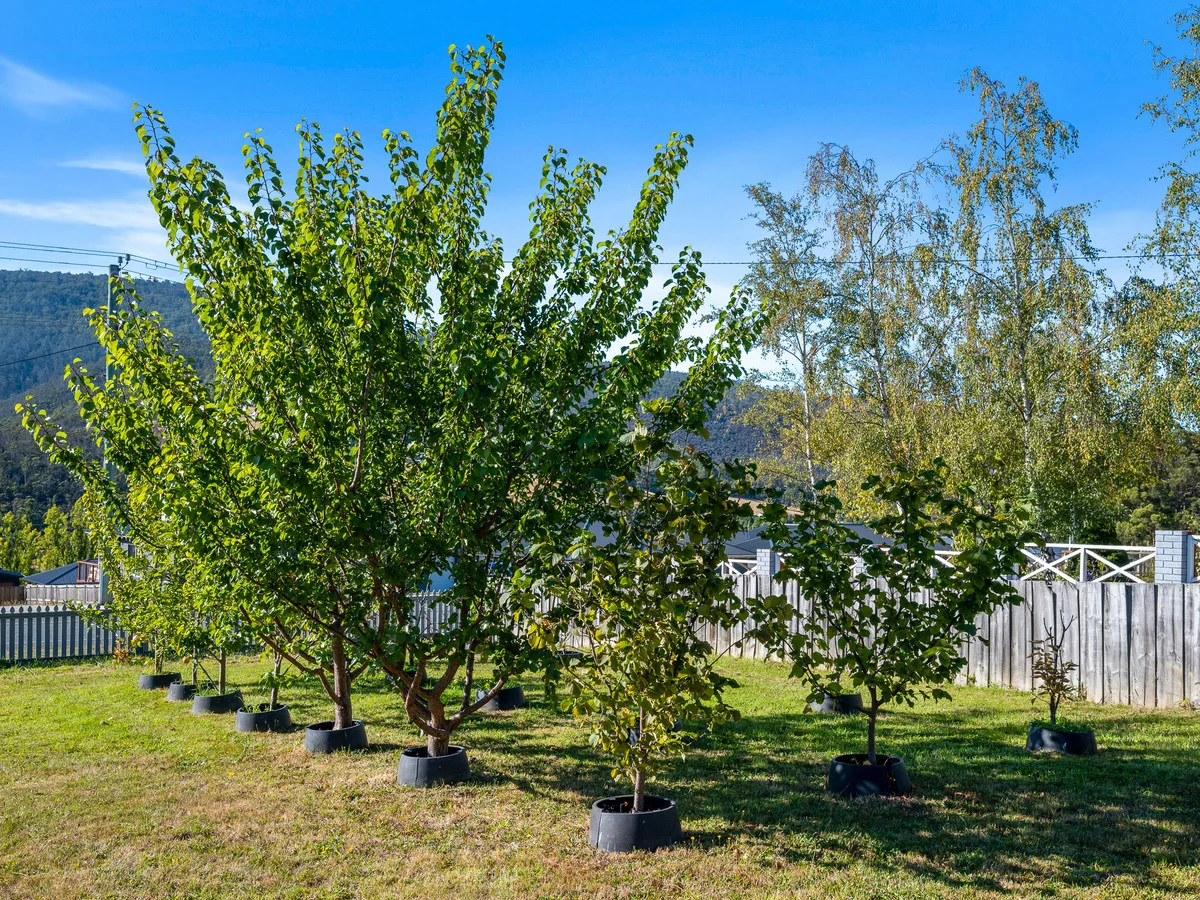 Additional image 38 of 2742 Huon Highway, Huonville TAS 7109