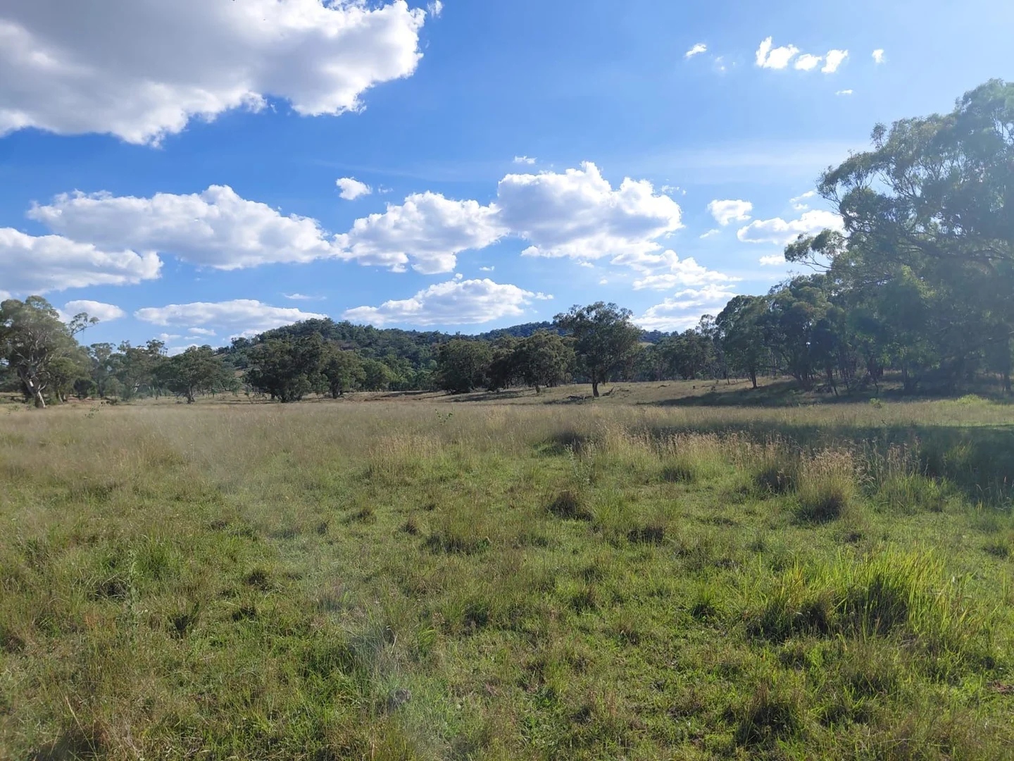 Additional image 5 of Lot 82 4108 Tent Hill Road, Emmaville NSW 2371