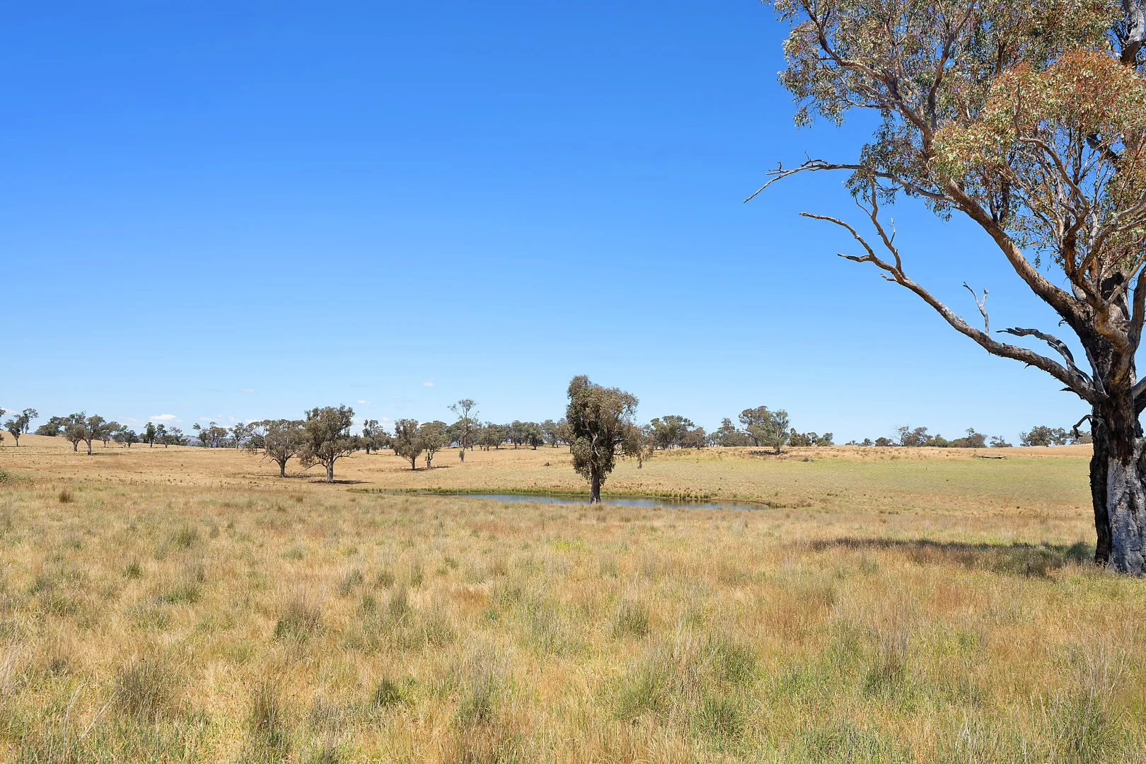 Additional image 21 of 2593 Four Mile Creek Road, Orange NSW 2800