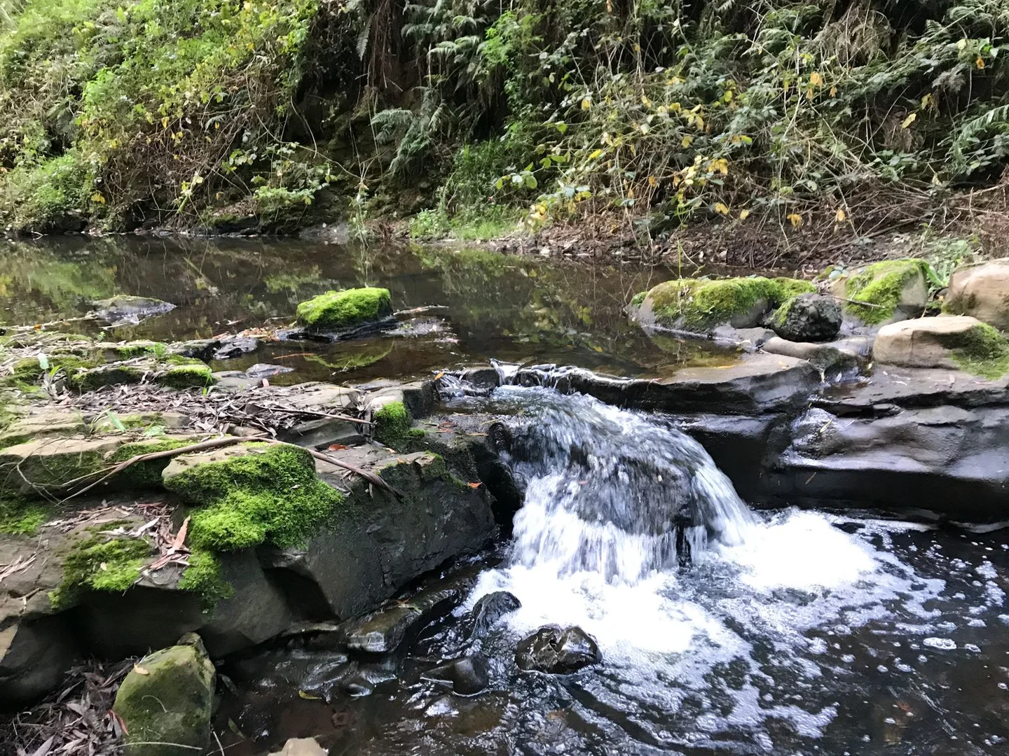 Additional image 4 of 1725 Wild Dog Valley, Strzelecki VIC 3950