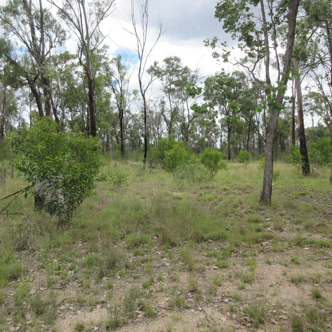 Additional image 10 of Tara QLD 4421