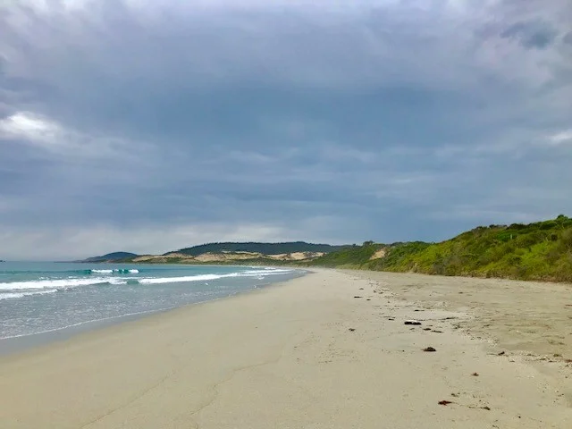 Additional image 12 of . Palana Road, Palana TAS 7255