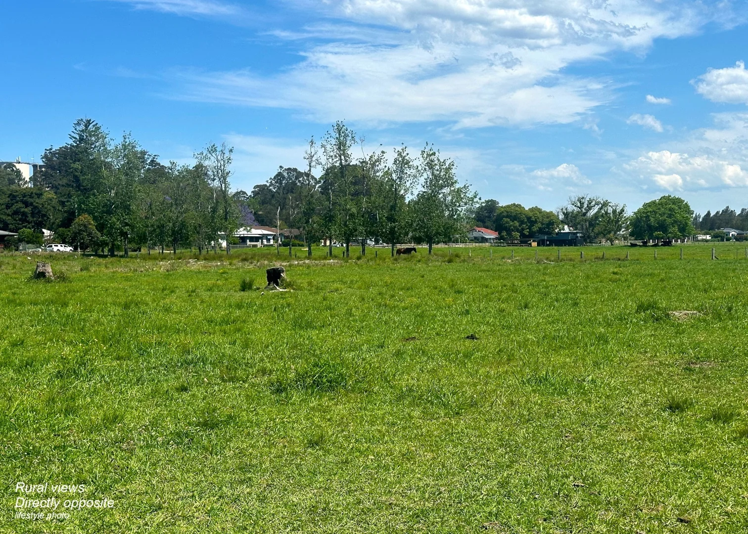 Additional image 20 of 54 Jellico Street, Macksville NSW 2447