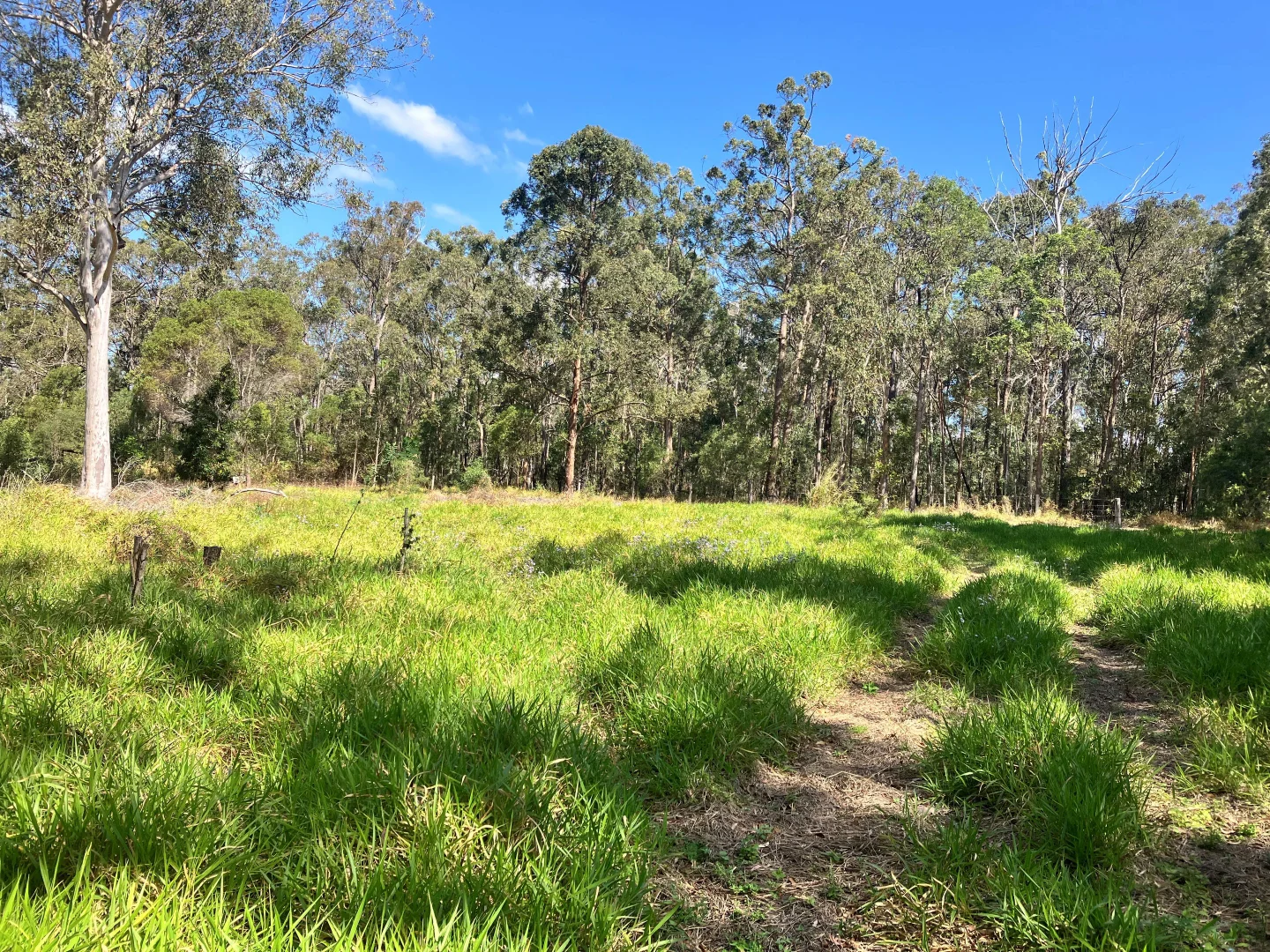 Additional image 2 of 119 Mount Mee Road, Delaneys Creek QLD 4514