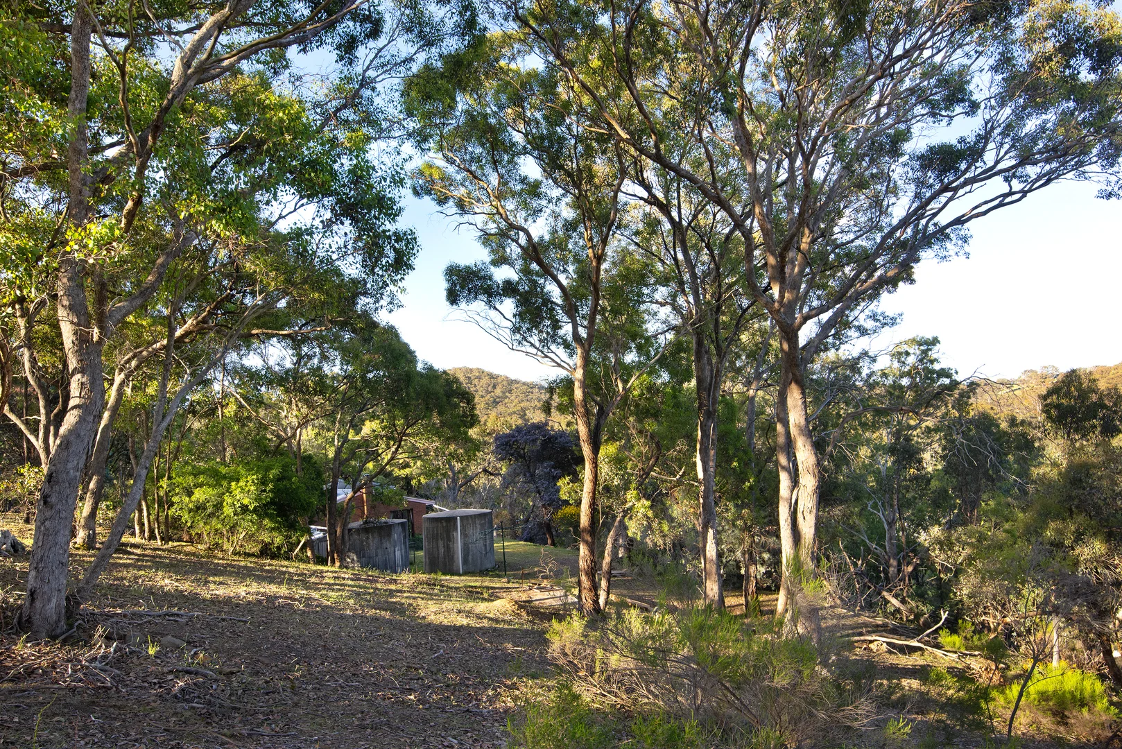 Additional image 12 of 101 Bush Sanctuary Road, Chewton Bushlands VIC 3451