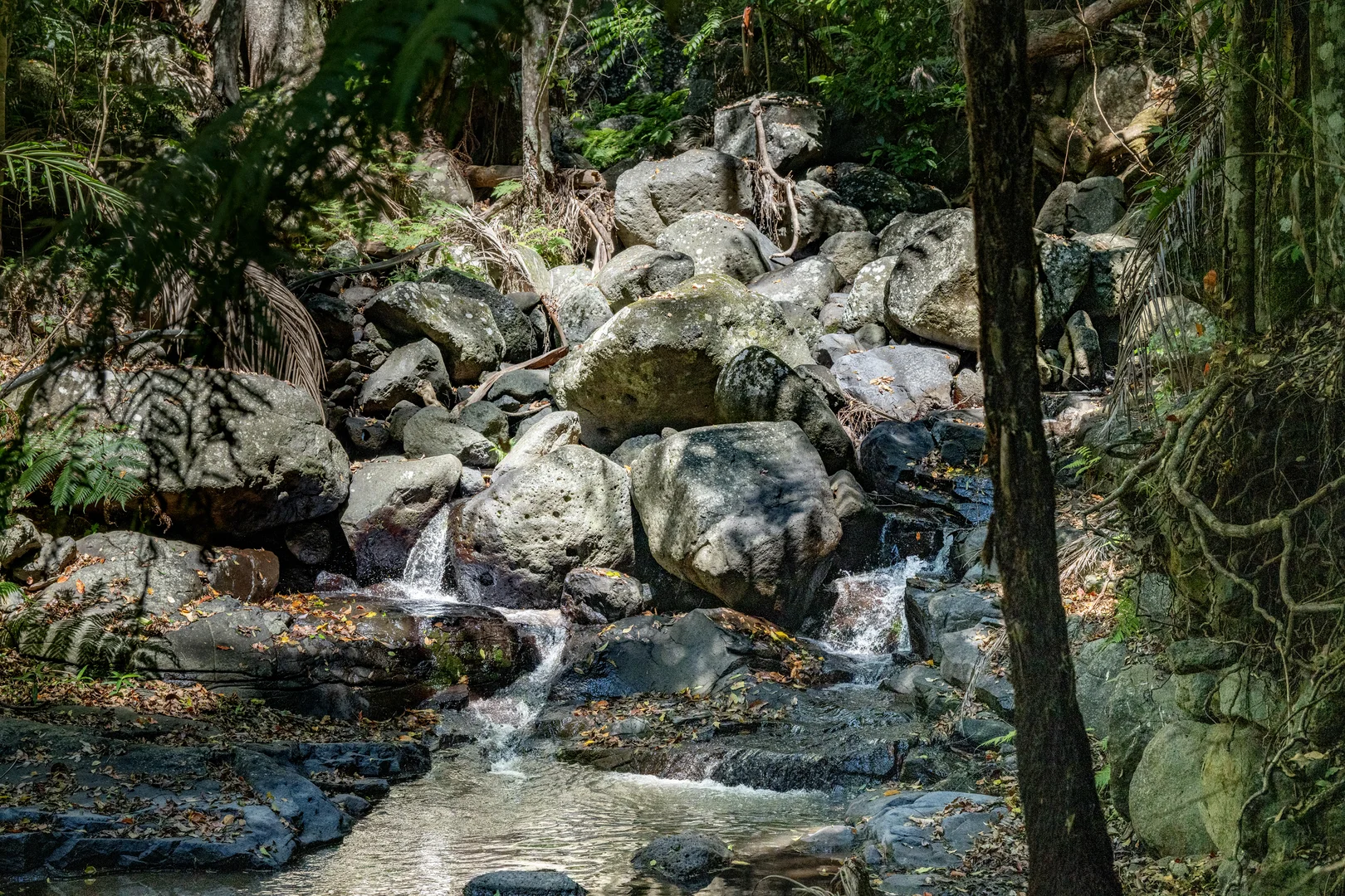 Additional image 34 of 3196 Christmas Creek Road, Lamington QLD 4285