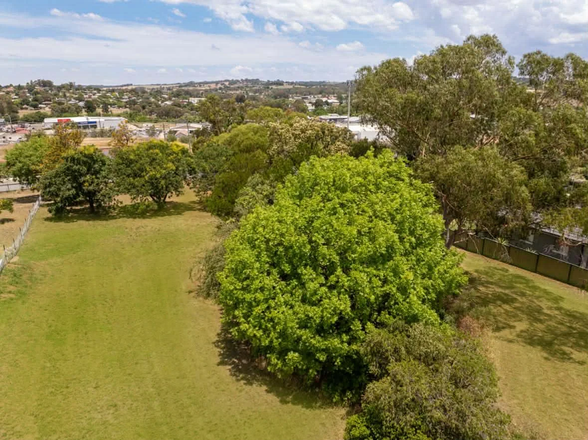 Additional image 3 of 128A Edwards Street, Young NSW 2594