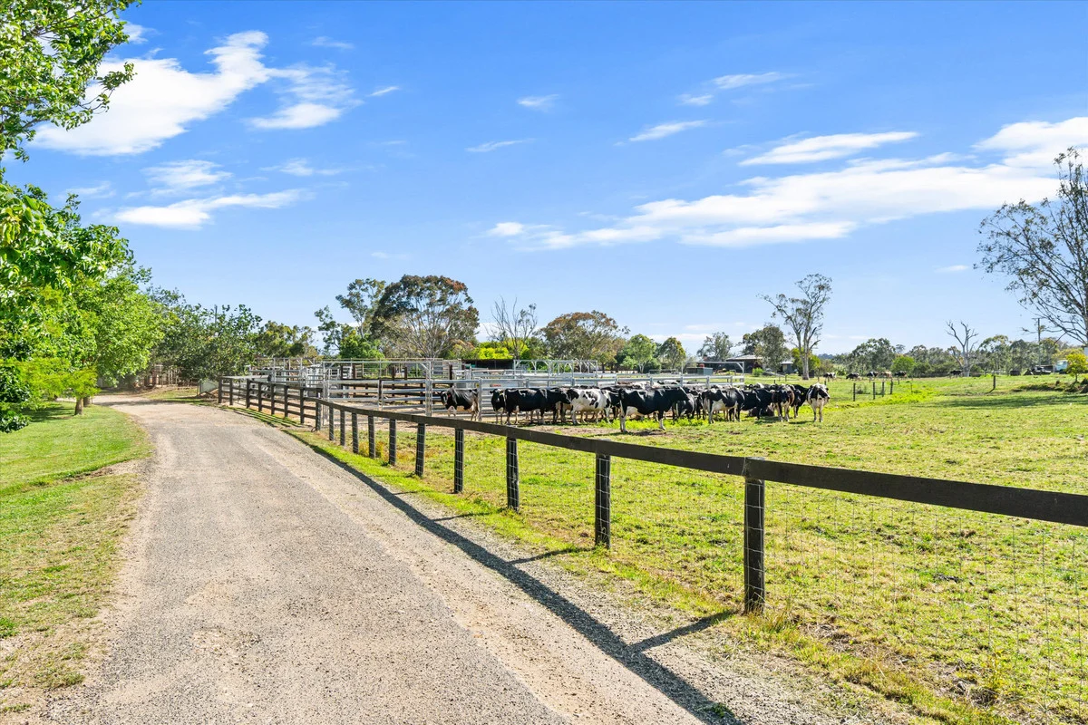 Additional image 39 of 335 Riverview Road, Heyfield VIC 3858