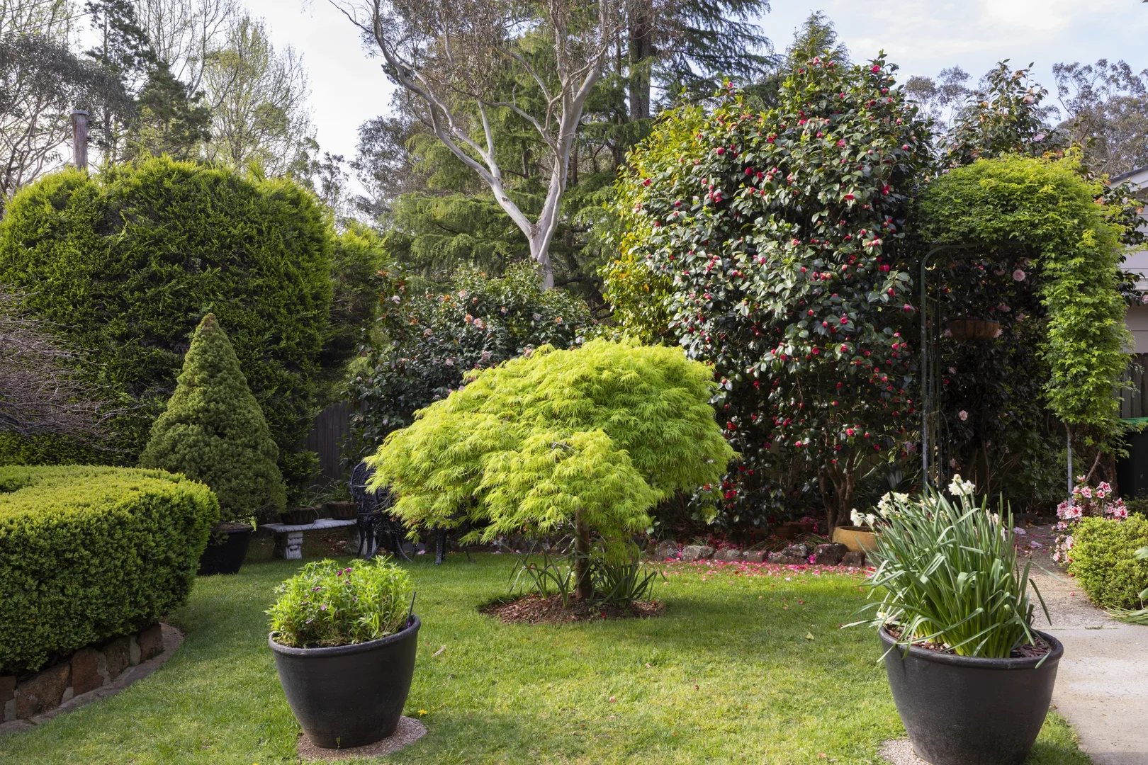 Additional image 14 of 7 Coniston Road, Leura NSW 2780