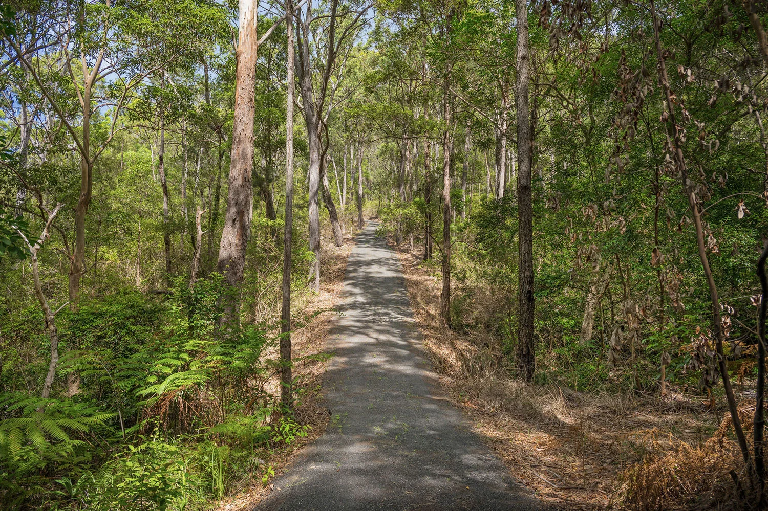 Additional image 15 of 38 Hoschke Road, West Haven NSW 2443