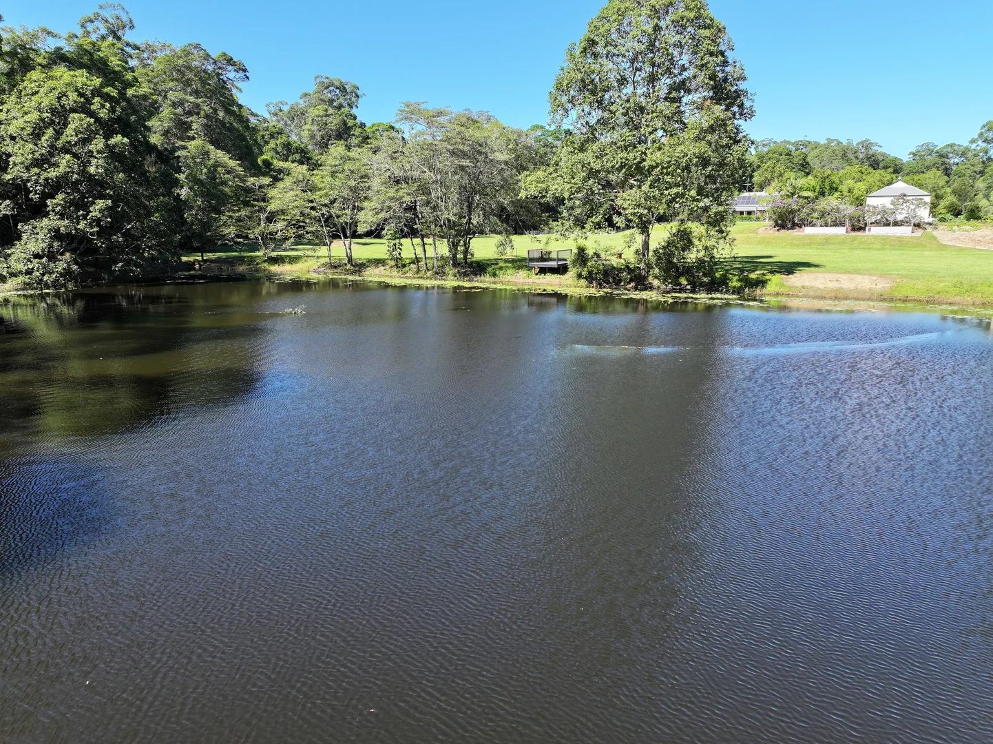 Additional image 65 of 142 Mary River Road, Cooroy QLD 4563