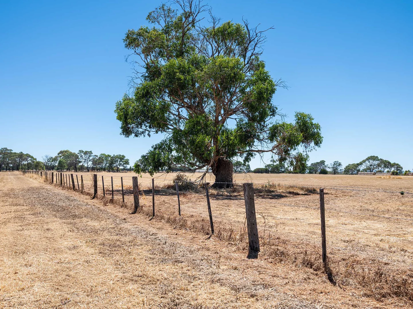 Additional image 17 of 42 Beveridges Road, Hamilton VIC 3300