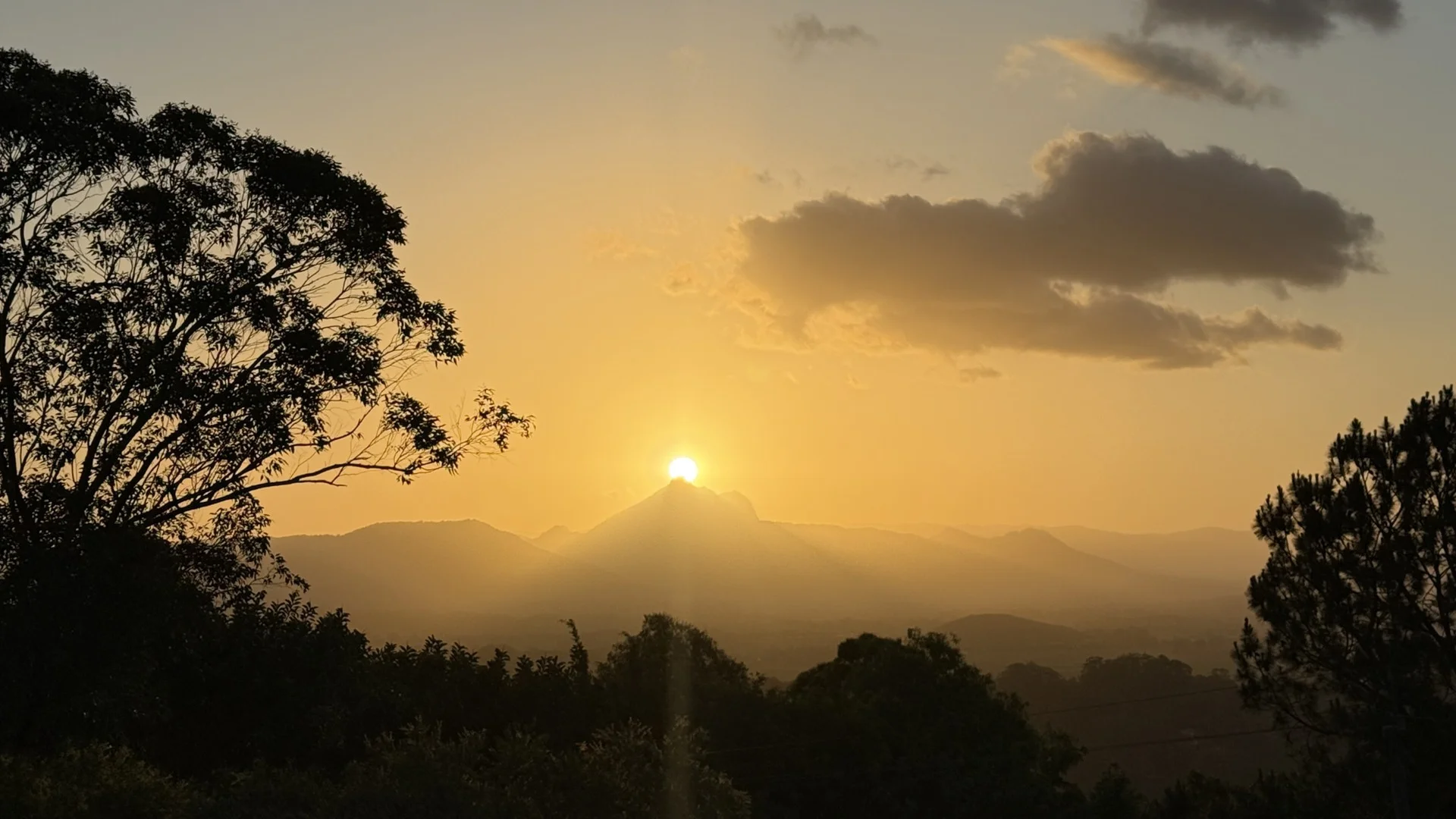 Additional image 2 of 102 Farrants Road, Farrants Hill NSW 2484