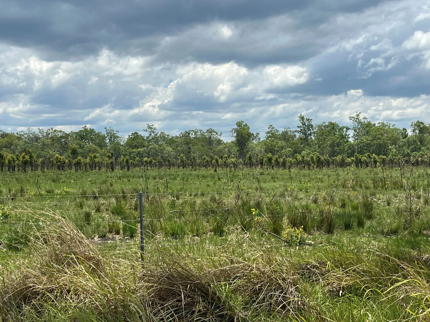 Additional image 45 of Blunder Park Station 382 Blunder Park Road, Ravenshoe QLD 4888