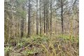 Additional image 32 of 298 Boone Rd, Toledo, WA, 98591