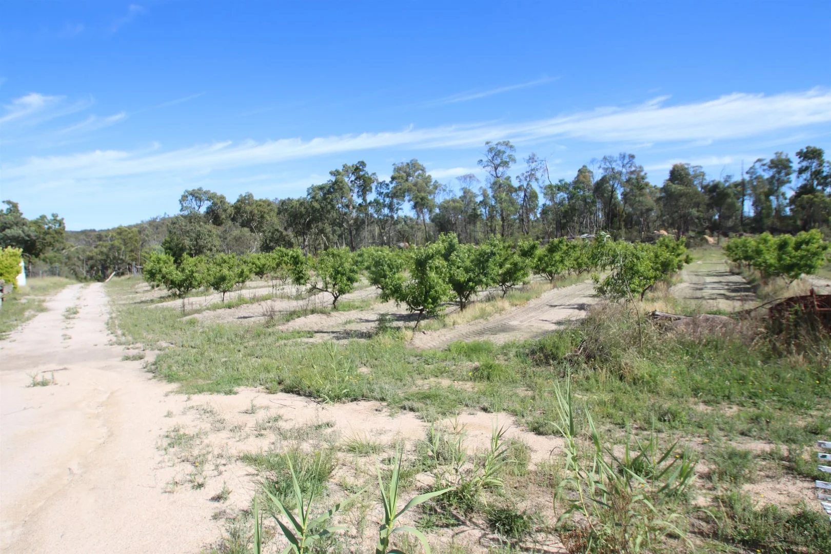 Additional image 10 of 27779A New England Highway, Fletcher QLD 4381