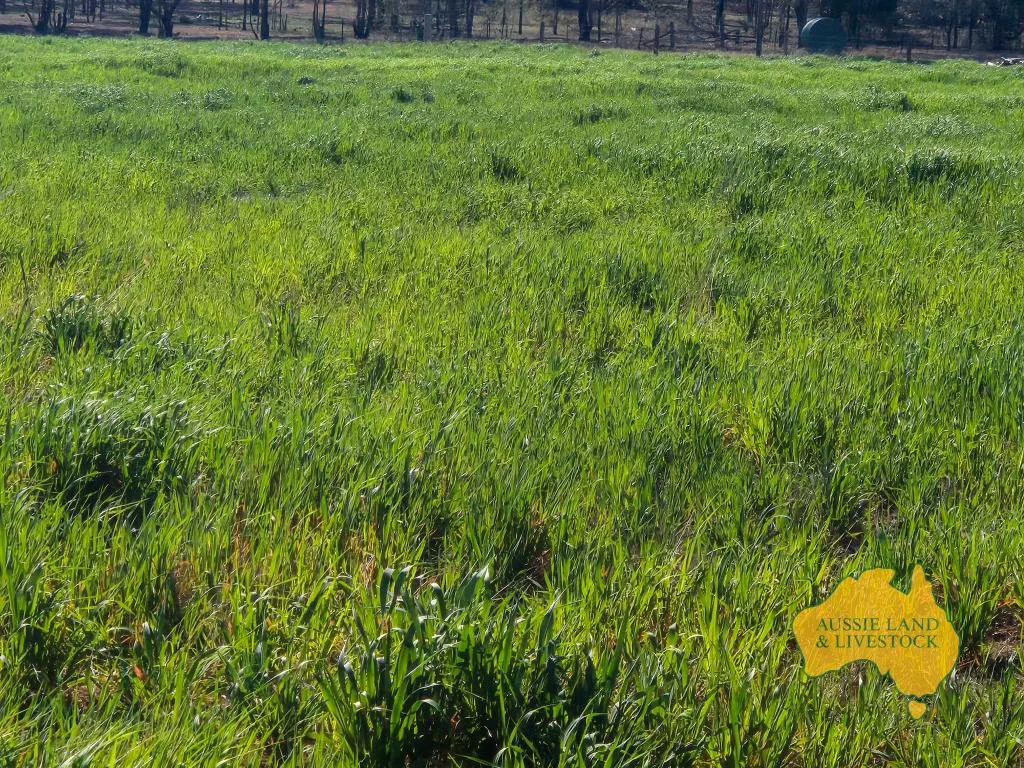 Additional image 3 of 512 Bicks Road, Cloyna QLD 4605