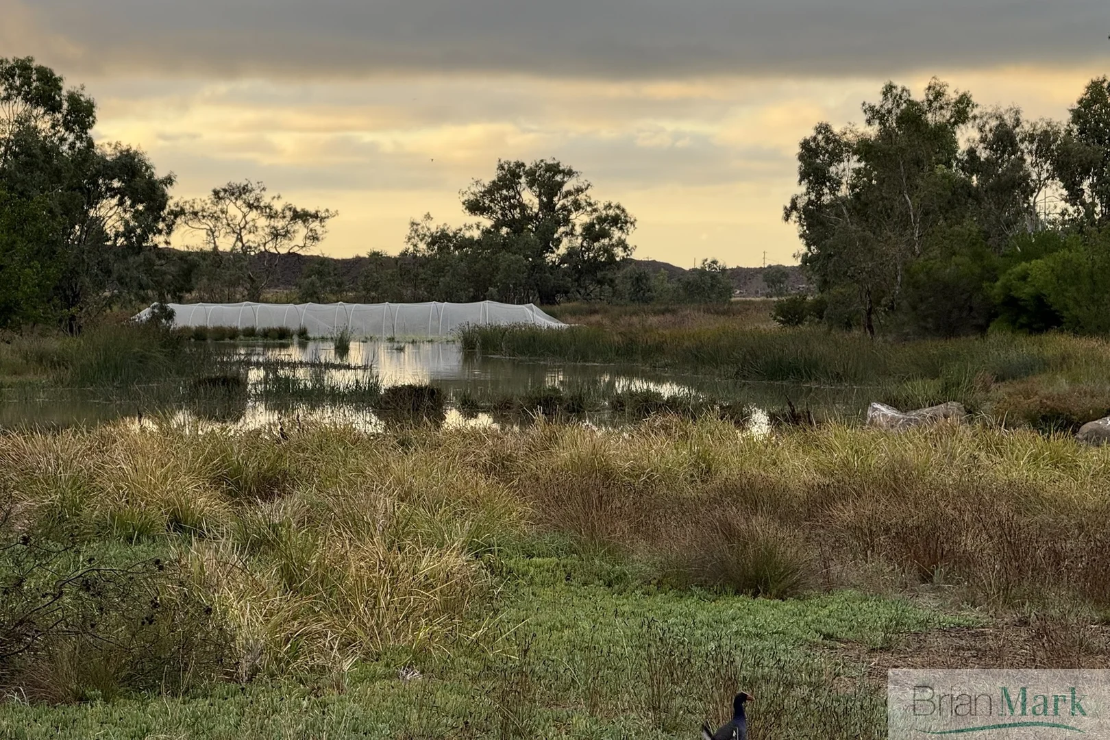 Additional image 5 of 11B Terama Chase, Werribee VIC 3030