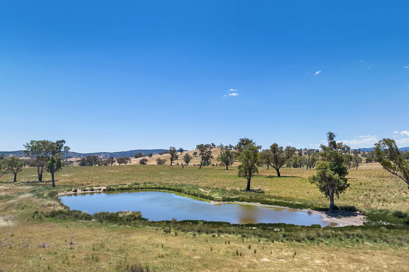 Additional image 11 of 2593 Four Mile Creek Road, Orange NSW 2800