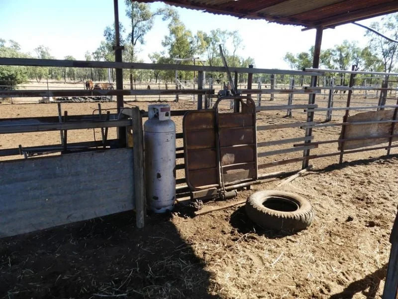 Additional image 30 of 6743 Dunrobin Road, Jericho QLD 4728